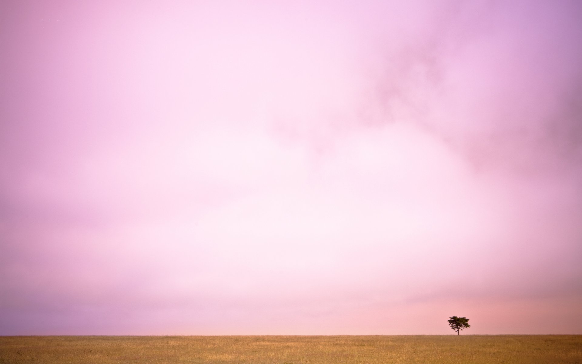 landscape tree valley the field