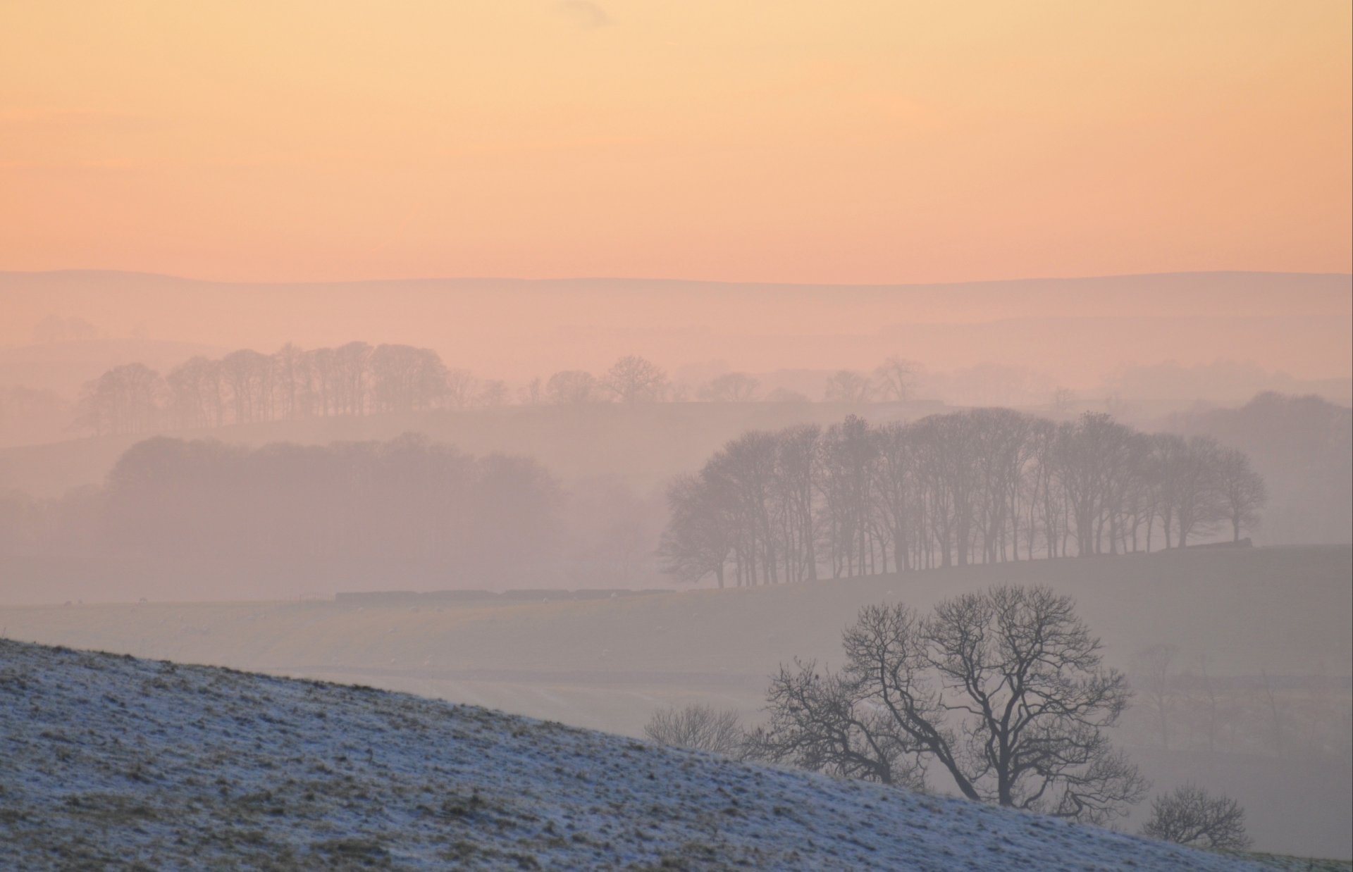 winter snow seasons weather cool frost hills fog morning trees trees slope