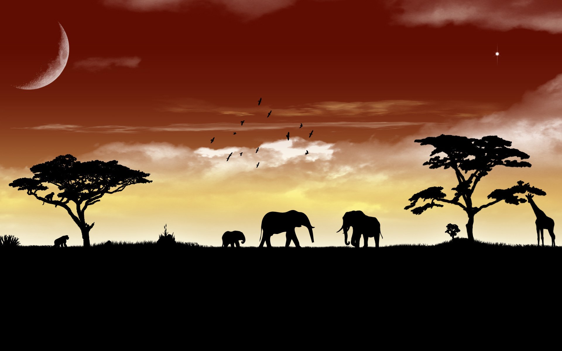 savane paysage animaux bêtes ciel éléphant