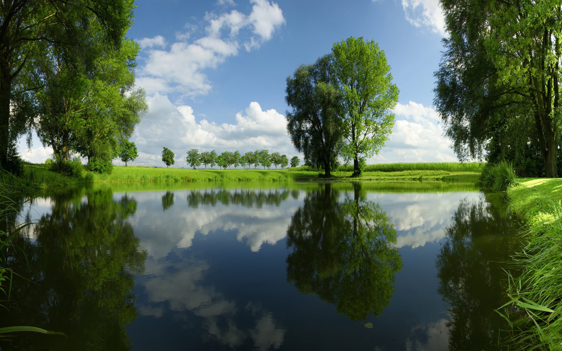 río hierba árboles