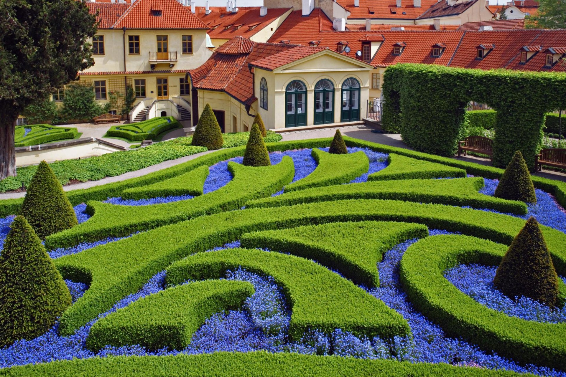 jardin maison fleurs arches verdure