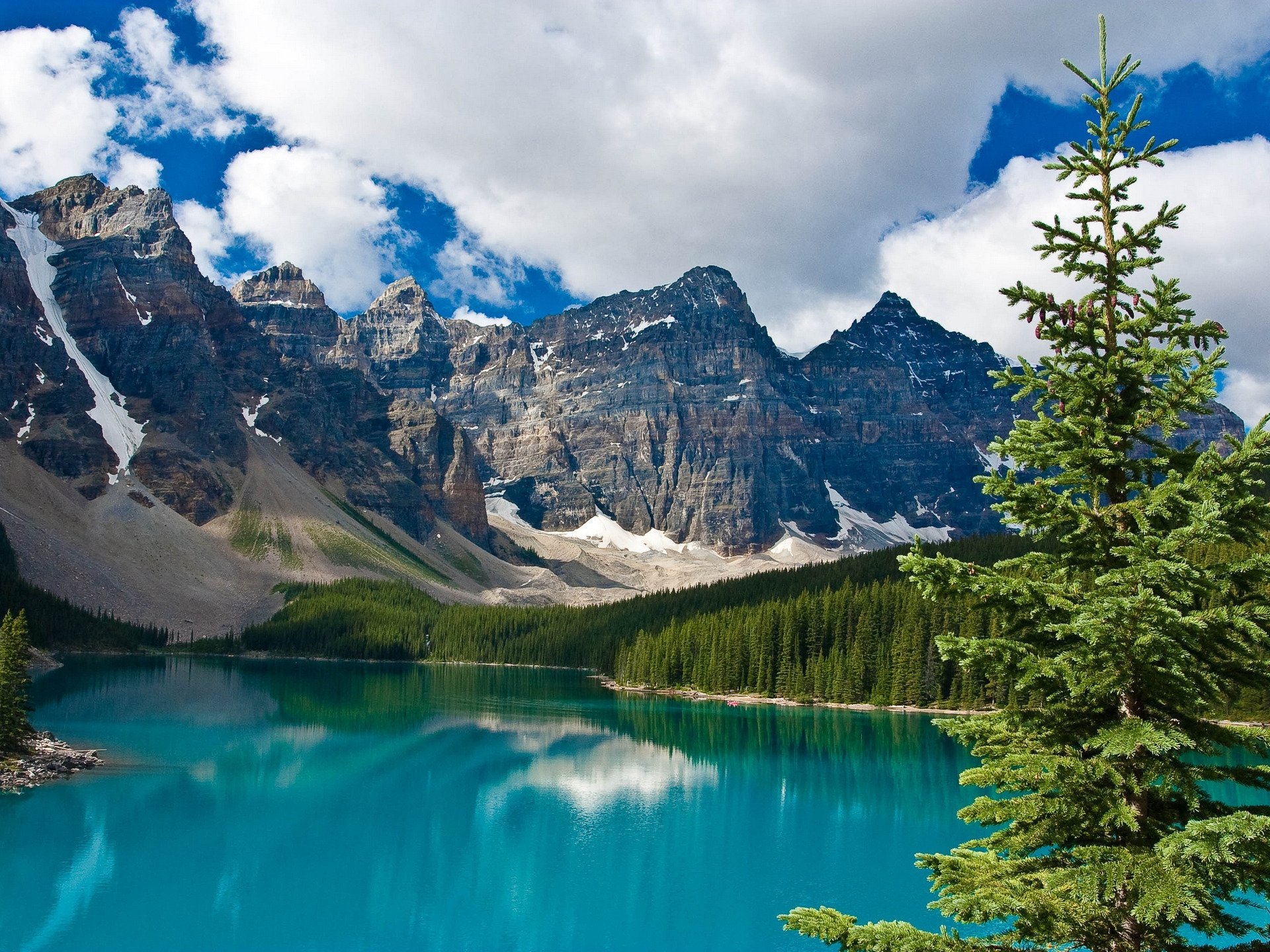 lac montagne sapin forêt