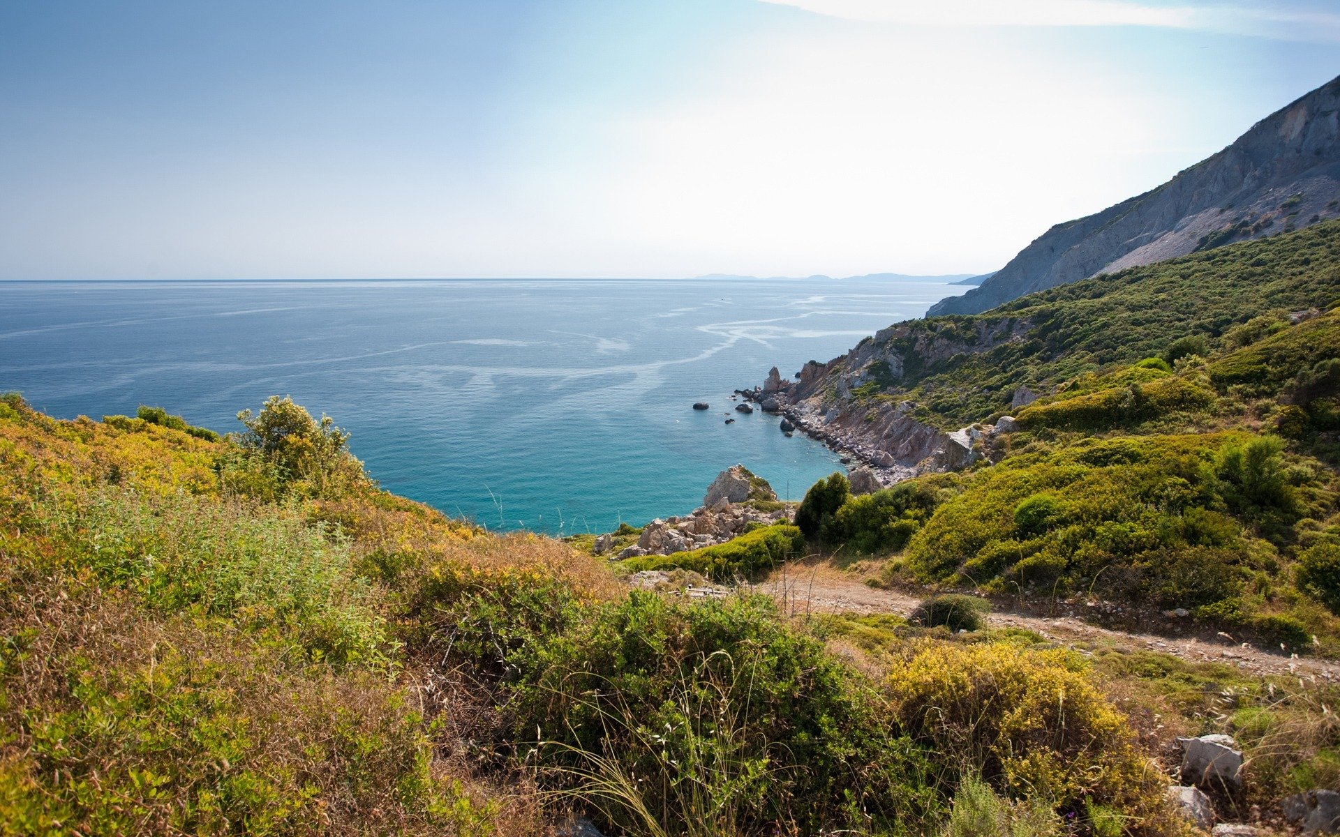 paysage nature vue sur la mer océan eau rochers côte plantes ciel