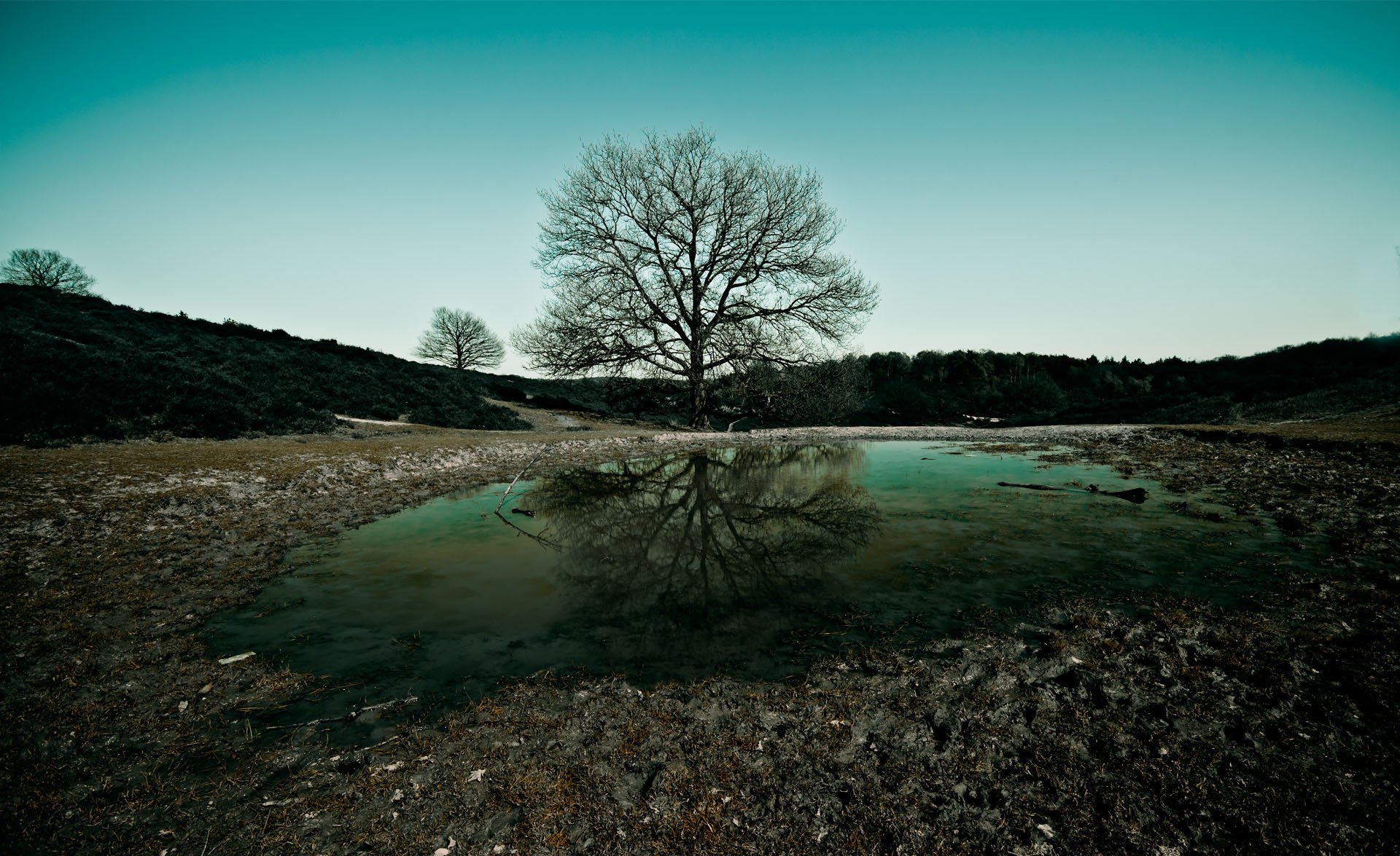 abend baum landschaft natur wasser himmel widescreen natur wallpspers bäume