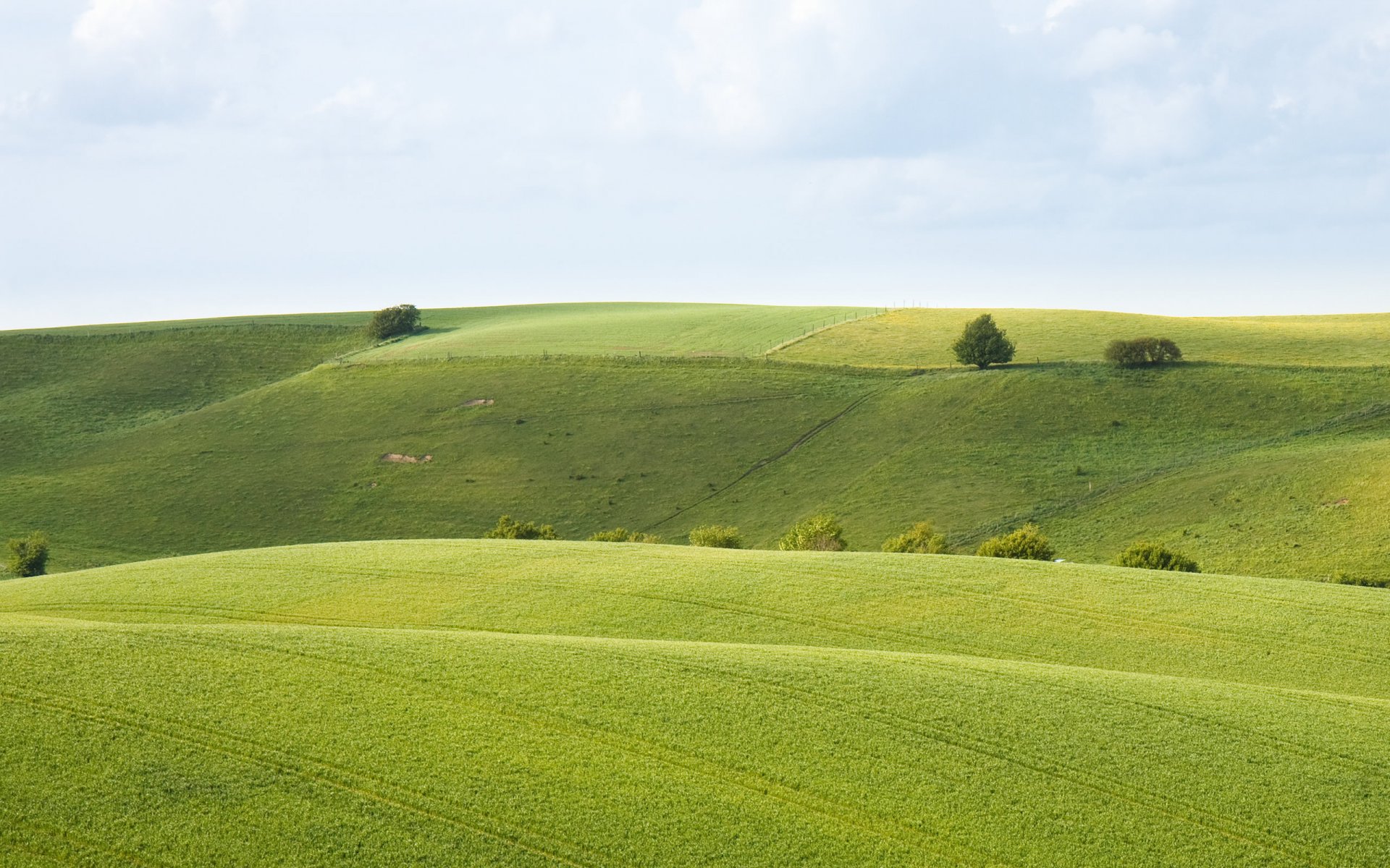 campo campo de la naturaleza