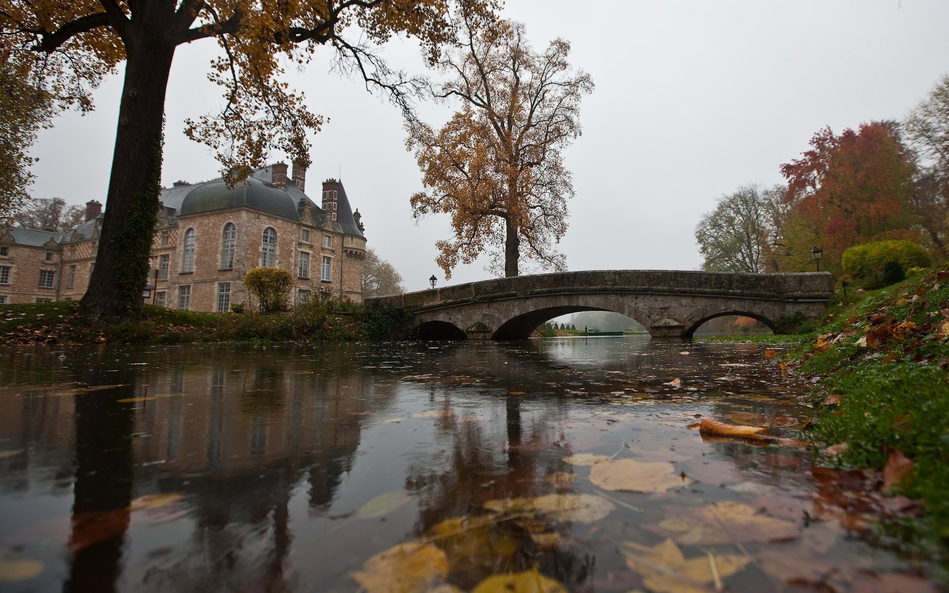 autunno stagno foglie acqua ponte casa pioggia