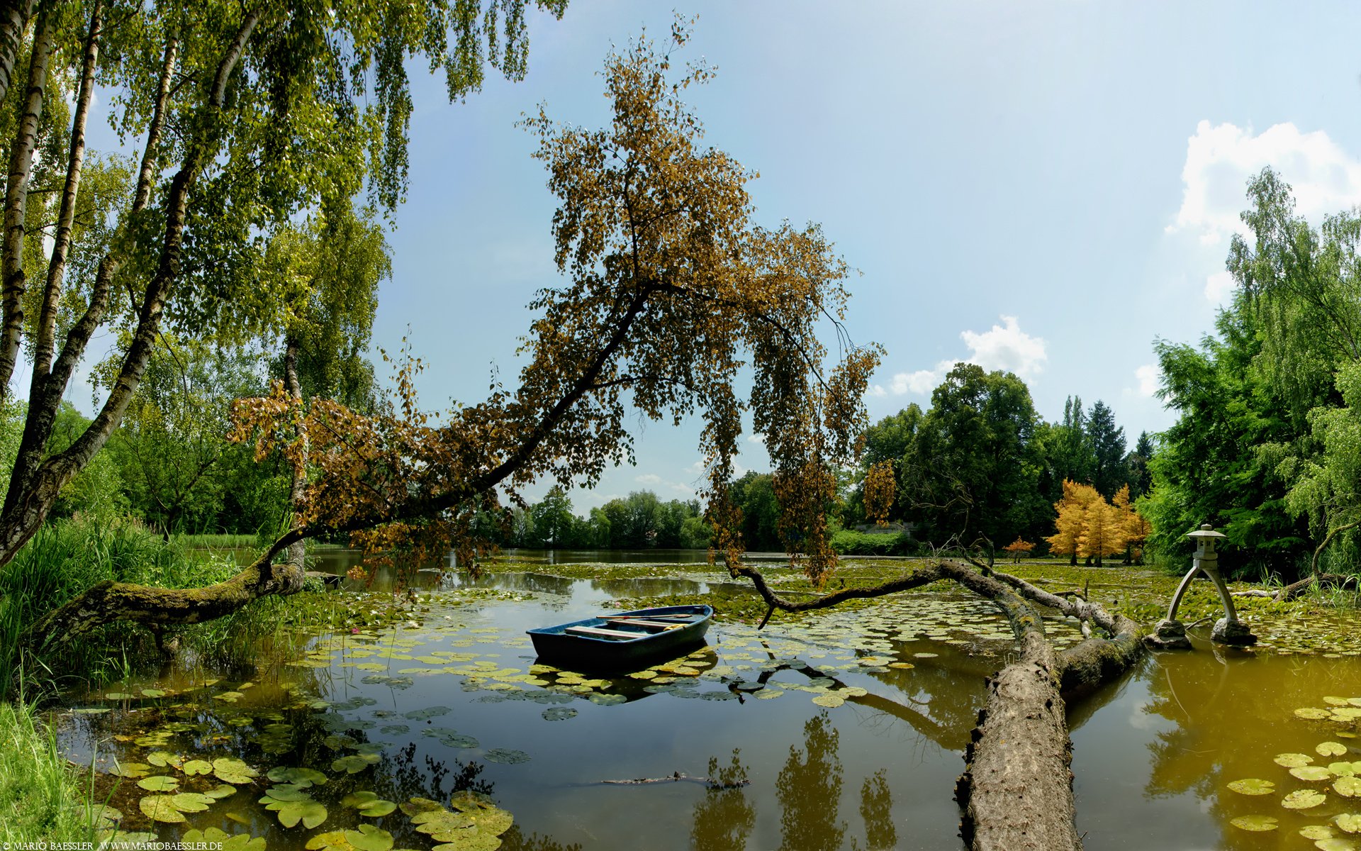 bateau lac arbres