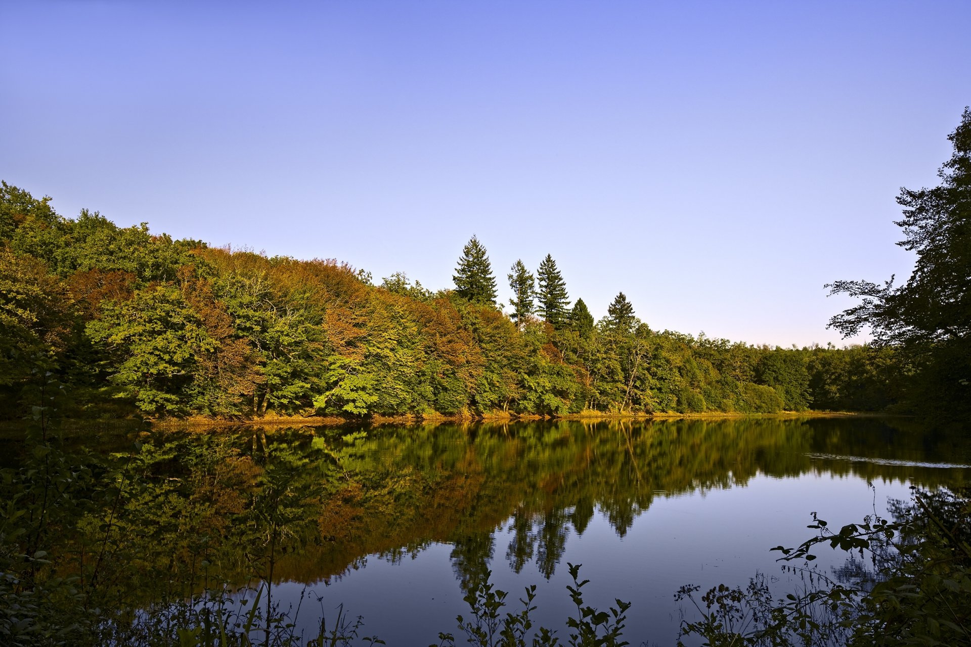 natura krajobraz widok rzeka drzewa niebo