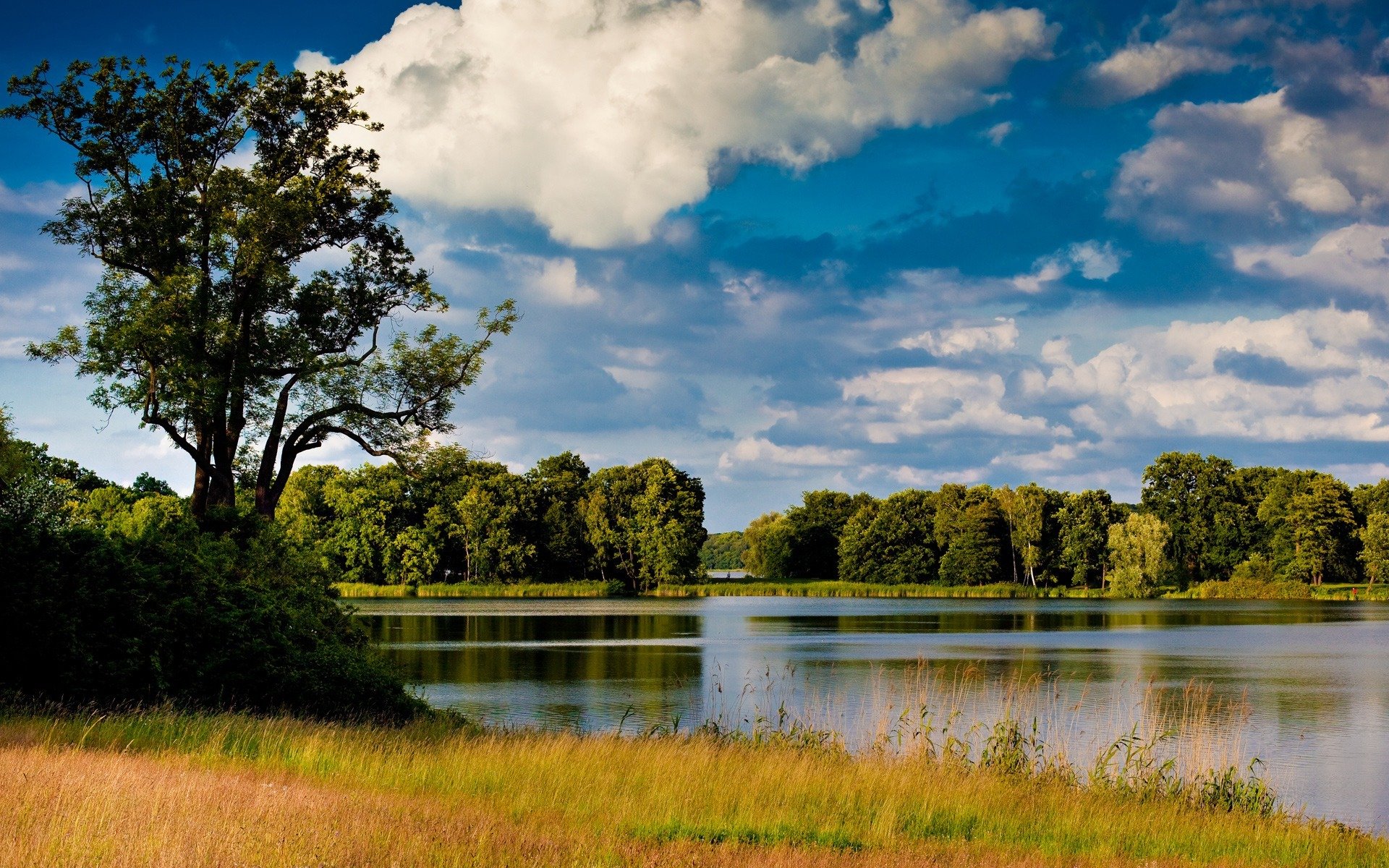 río agua naturaleza paisaje árbol hierba cielo