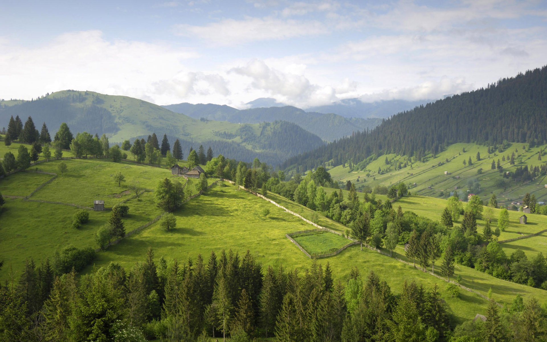 alberi colline nuvole