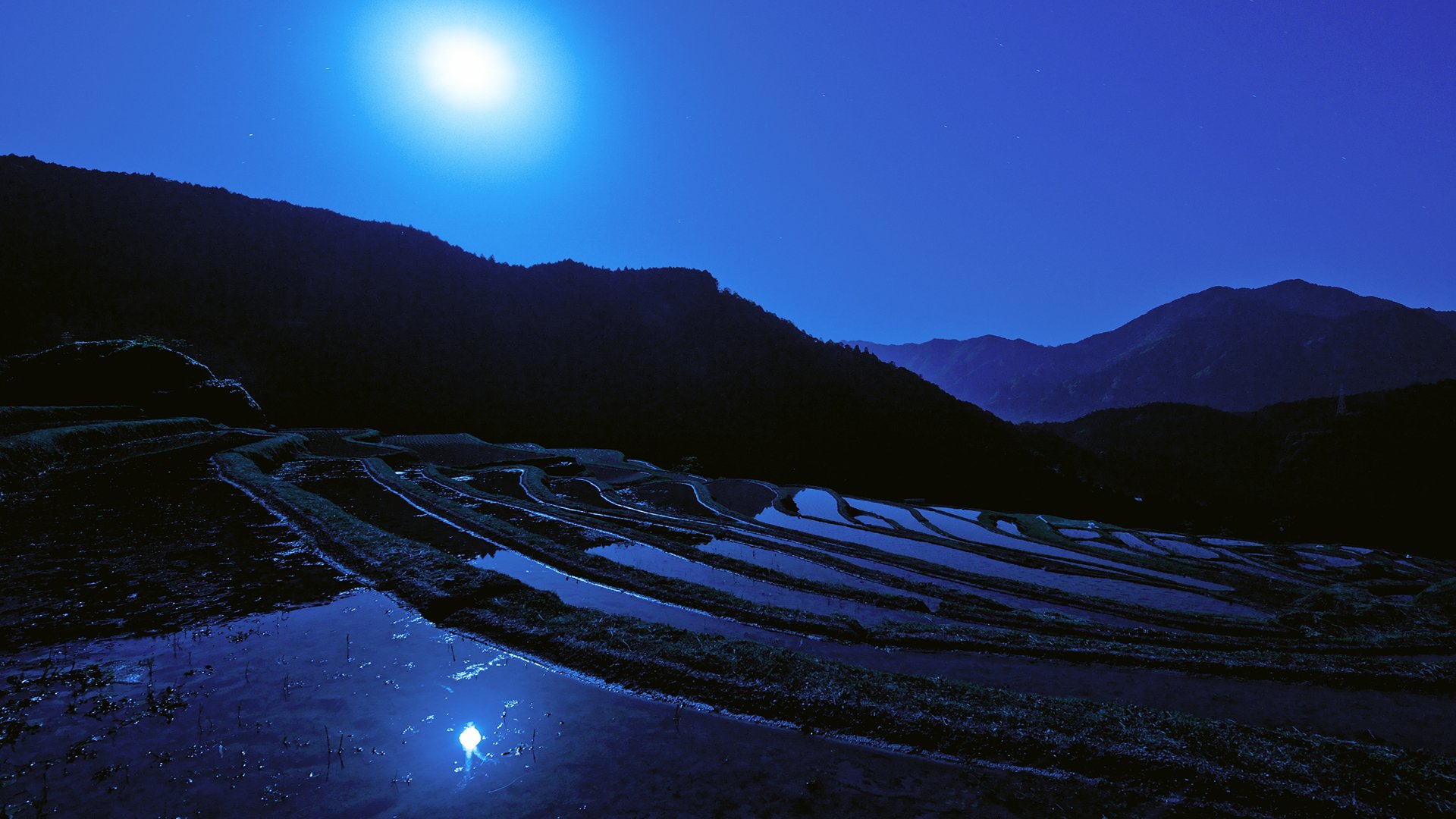 japan mond nacht reisfeld