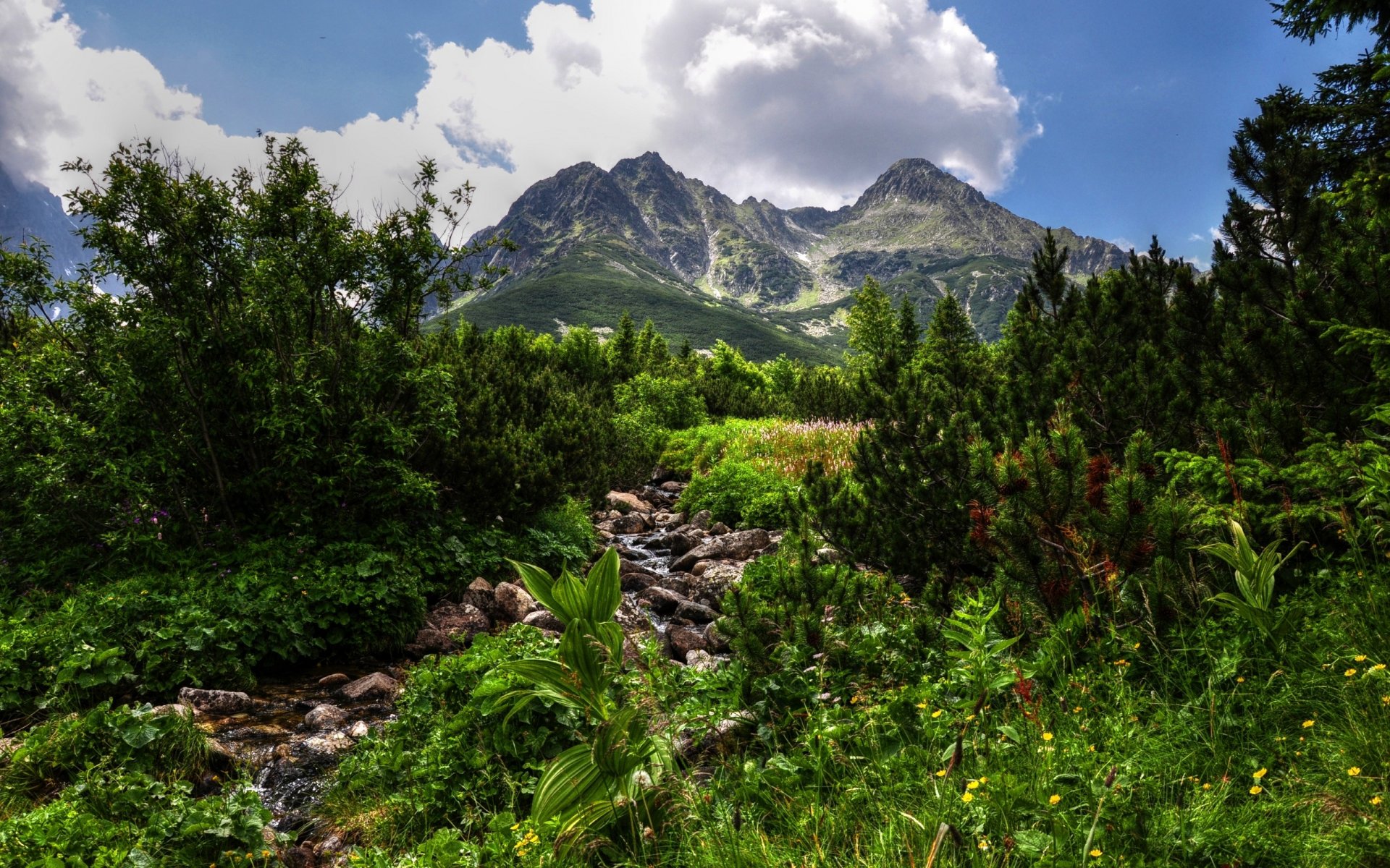 góry zieleń hdr