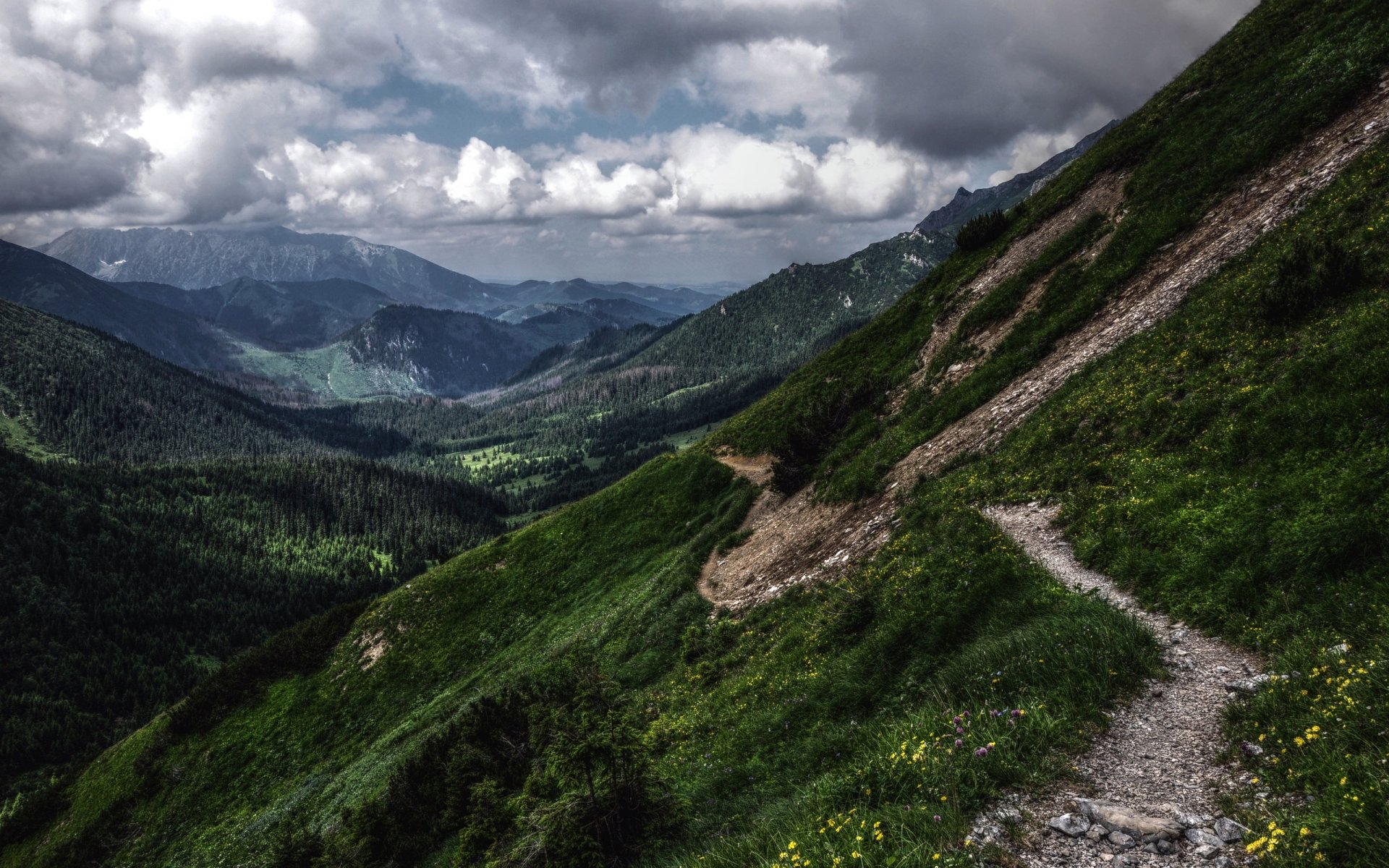 montagne verdi hdr tatra