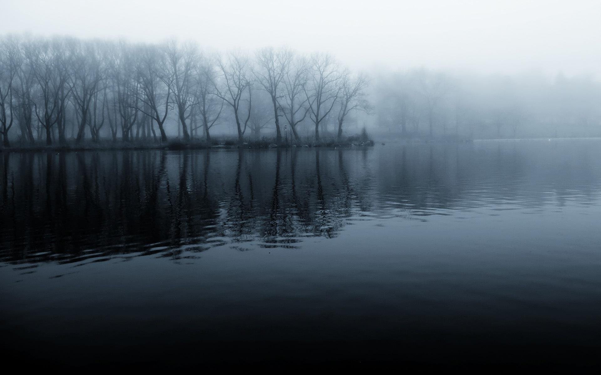 river beach forest morning fog cool