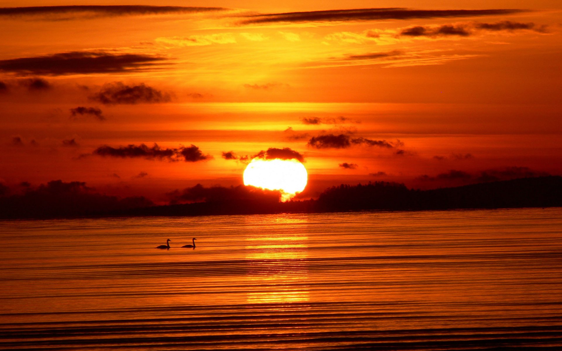 cielo sole libertà