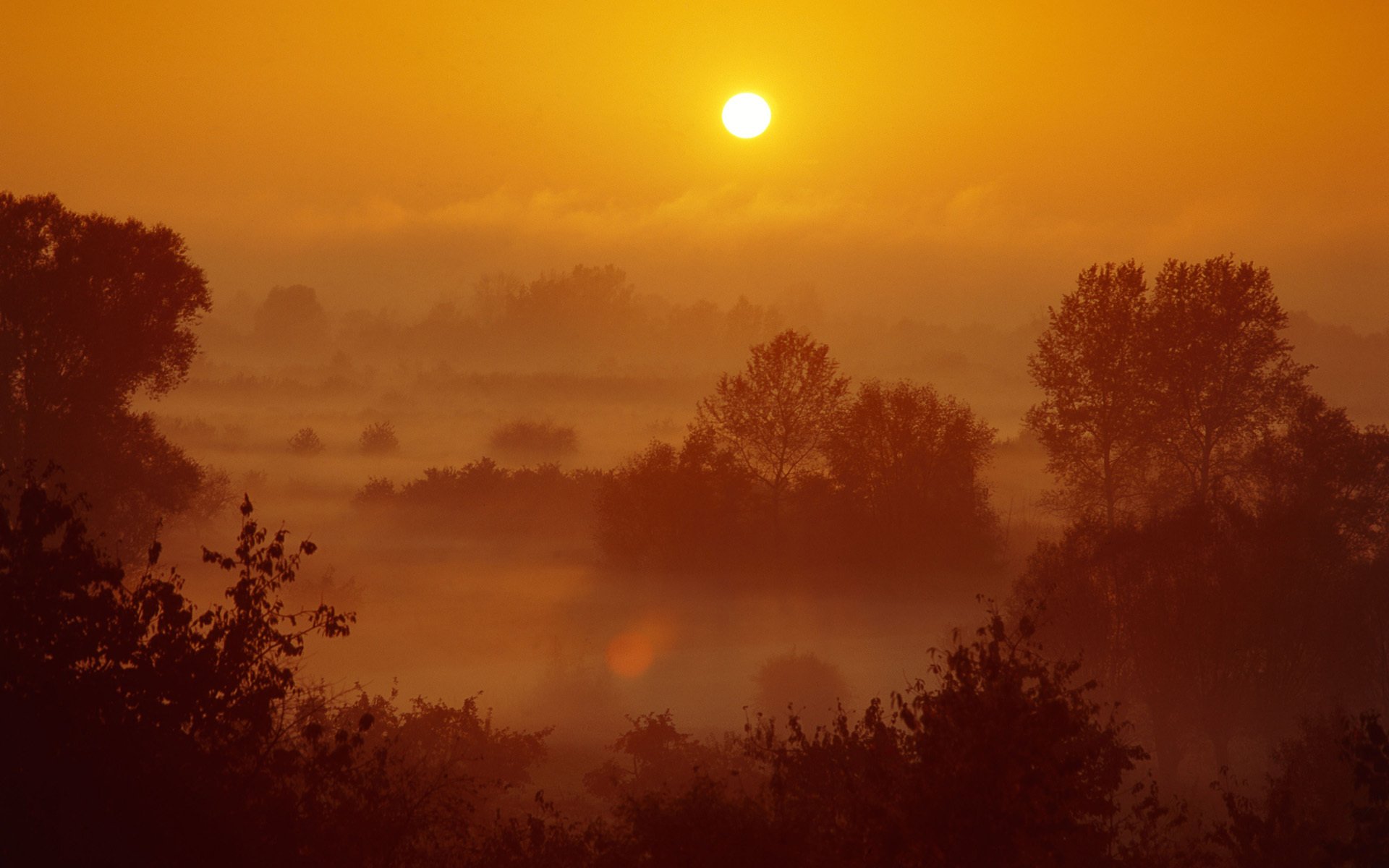 paysage nature soleil le coucher du soleil ciel soir forêt arbres view coucher de soleil