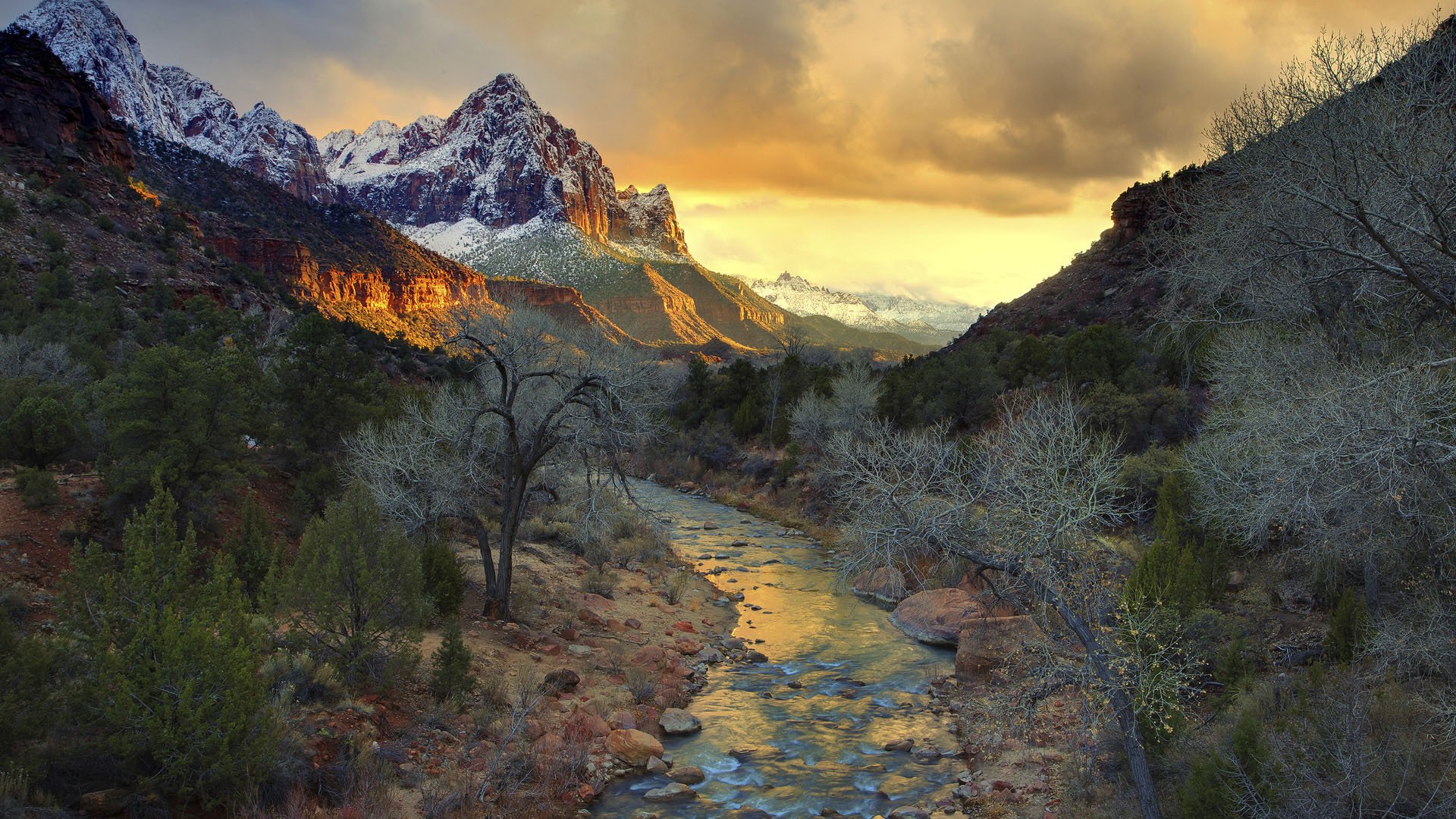 mountain tree river sky sunset