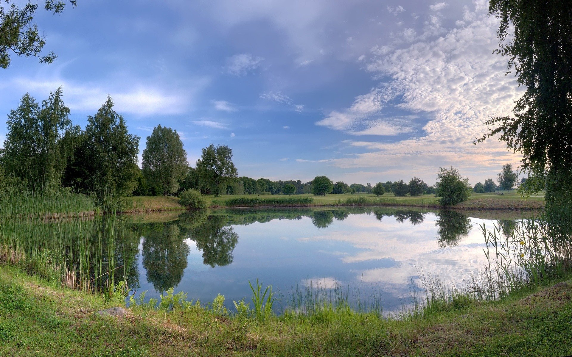 lake grass slope nature sky