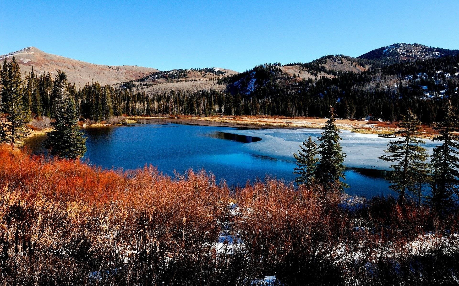 rivière glace rivages forêt montagnes