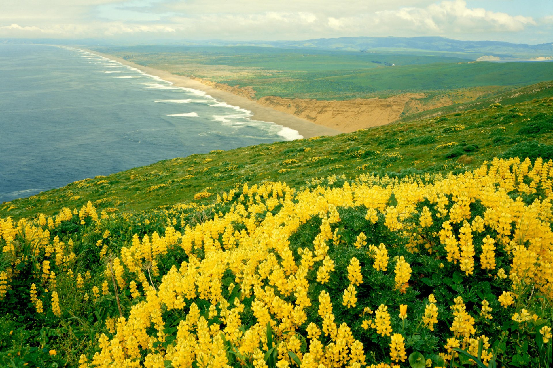 kalifornien landschaft natur ozean