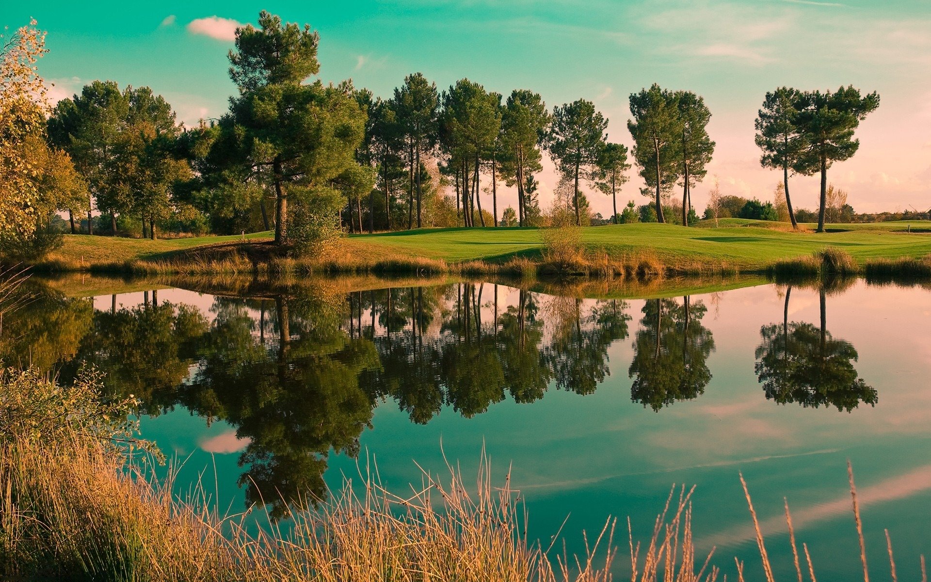 paysage rivière forêt arbres photographie de la nature paysages lac