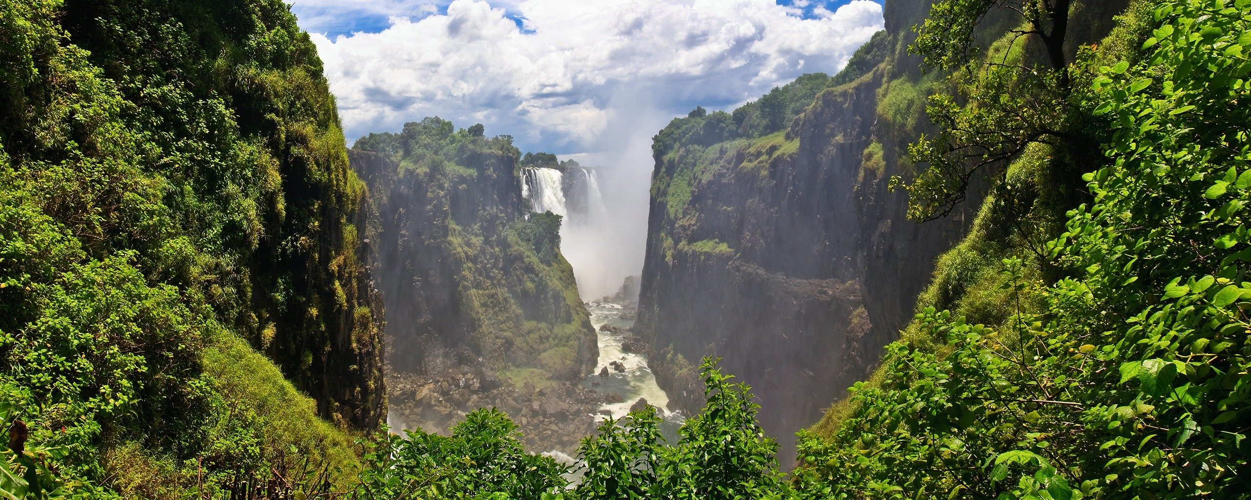 naturaleza paisaje árboles