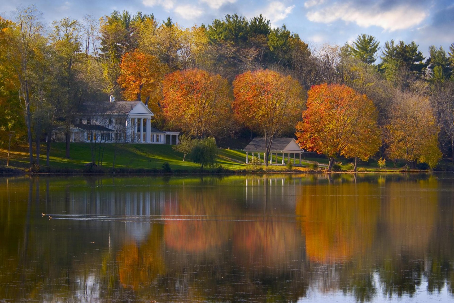 maisons jardin arbres rivière calme canard l eau gazebo