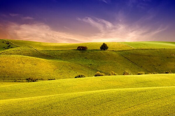 Jasne, soczyste, zielone wzgórza i pola