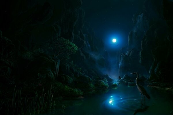 Цапля в воде ночью при свете луны