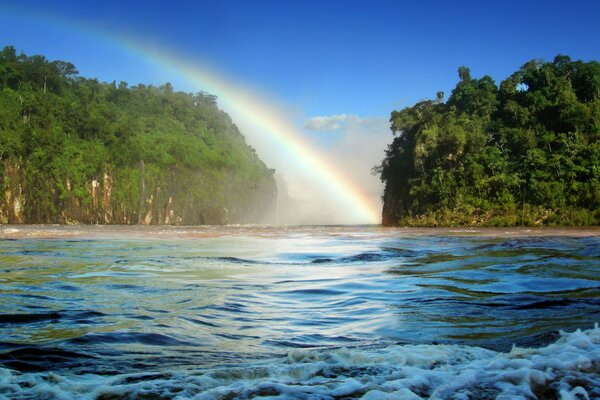 Grüne Bäume, die mit einem hellen Regenbogen bedeckt sind