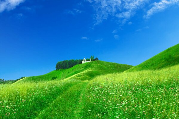 Blick auf die sanft grüne Wiese, die in den Himmel übergeht, am Rand ist die Kirche zu sehen