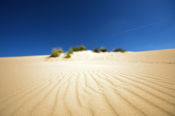 Paisaje de arena en el desierto de África