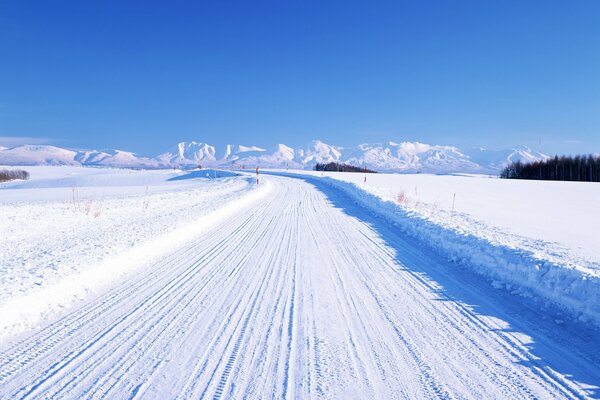 Winter road going into the distance