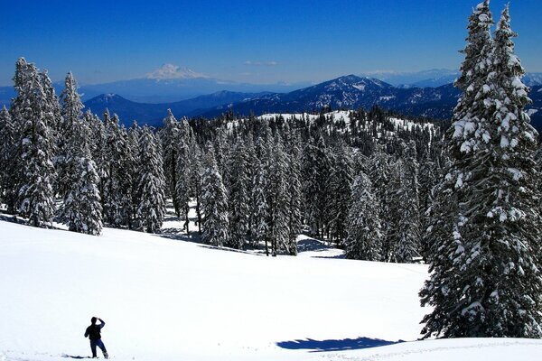 A man looks into the distance of the forest in winter