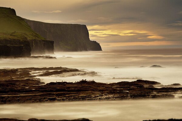 A view into the distance of the sea with seagulls and rocks