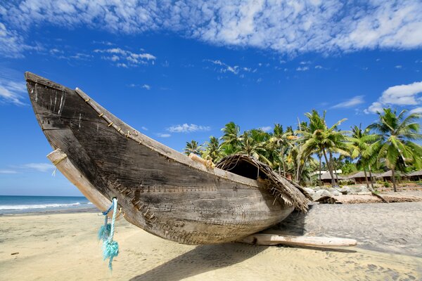 Tropisches Paradies am Meer