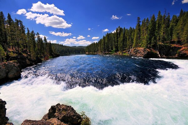 River rapids in Yellowstone National Park
