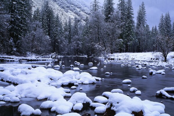 Gebirgsbach unter Schnee auf Waldhintergrund