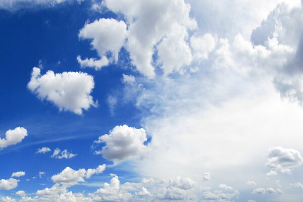 Foto panorámica del cielo. Paisaje brillante