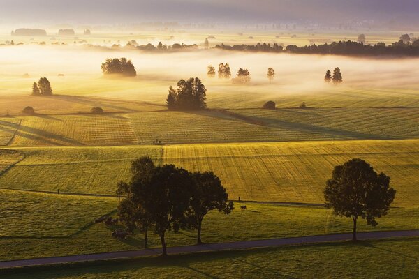 Sown fields in the haze of morning fog