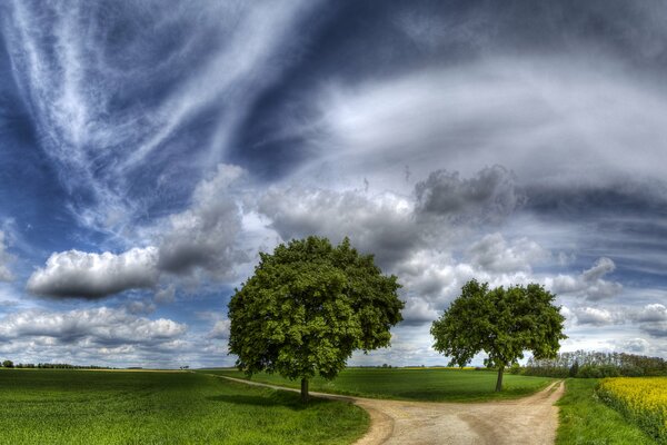 The road turns into two paths and around there are trees a field and beauty