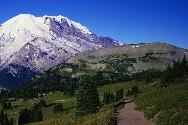 Montagne enneigée et route avec des arbres menant à elle