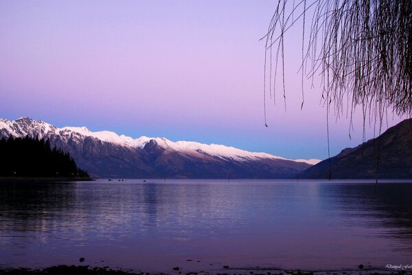 Paysage de montagne dans une teinte violette