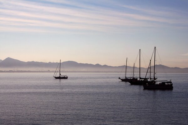 Morning at the sea. Yachts on the water