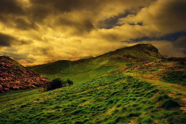 Jasna zielona trawa na wzgórzu, na tle niebo