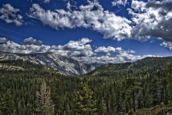 Bosques y montañas bajo nubes blancas