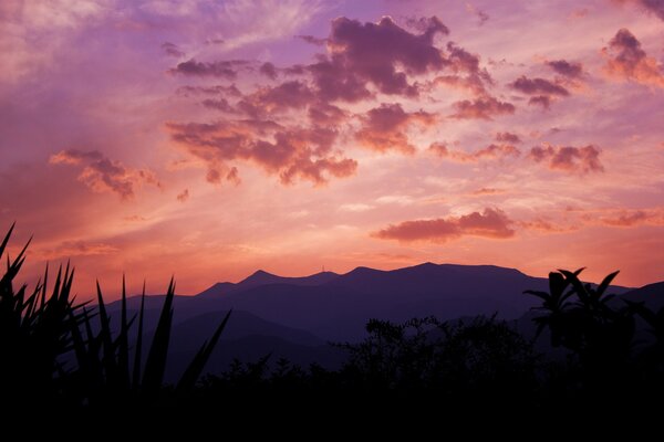 The mountain is small, reeds and sunset