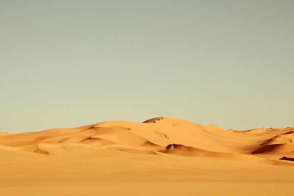 The nature of the hot African desert