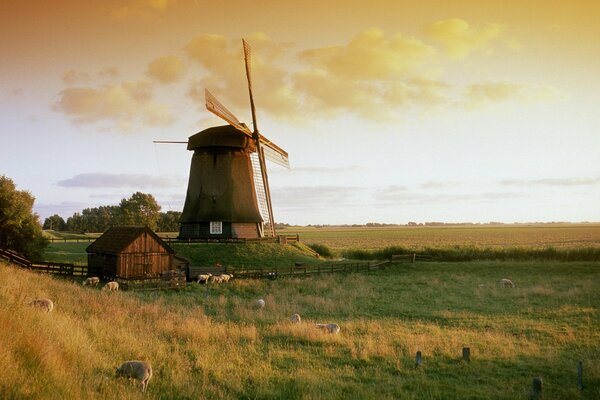 A mill among a picturesque field