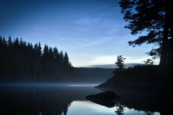 It s night and you can see the lake with the forest